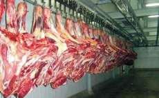 &Aacute;frica do Sul e China suspendem importa&ccedil;&atilde;o de carne bovina do Brasil