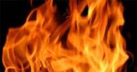 Paraná - Incêndio em granja mata 30 mil aves