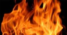 Paran&aacute; - Inc&ecirc;ndio em granja mata 30 mil aves