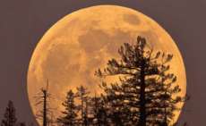 Novembro ter&aacute; a maior superlua em 100 anos