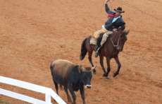 Exames dos animais para a Prova Campeira dos Jarcan's 2013 ser&atilde;o obrigat&oacute;rios