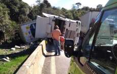 Nova Laranjeiras - Caminh&atilde;o carregado de frango tomba e carga &eacute; saqueada na BR-277