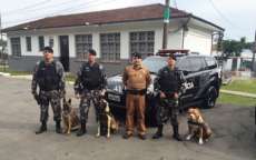 C&atilde;es da Pol&iacute;cia Militar do Paran&aacute; atuar&atilde;o na seguran&ccedil;a das Olimp&iacute;adas 2016