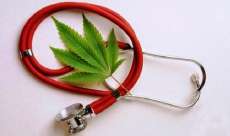 Anvisa autoriza uso de maconha medicinal