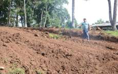 Pinh&atilde;o - Secret&aacute;rio de Agricultura vistoria servi&ccedil;os na localidade do Serrinho