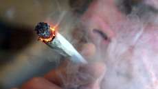 Uso regular de maconha diminui o tamanho do c&eacute;rebro, diz pesquisa