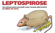 Guarania&ccedil;u - Leptospirose: Secretaria de Sa&uacute;de alerta munic&iacute;pio sobre doen&ccedil;a