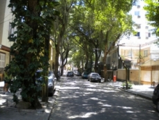 Qual &aacute;rvore plantar em frente a sua casa?