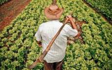 Concess&atilde;o de cr&eacute;dito a agricultores familiares cresce 3,4%