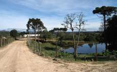 Turismo rural aumenta em 30% renda de agricultores familiares do Paran&aacute;