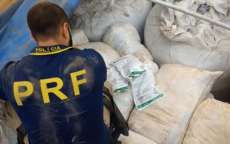 PRF apreende carga de inseticida contrabandeado