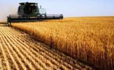 Minist&eacute;rio da Agricultura libera R$90 milh&otilde;es para seguro rural