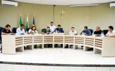 Guarania&ccedil;u - C&acirc;mara define comiss&otilde;es permanentes