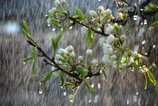 Conhe&ccedil;a 5 curiosidades sobre a chuva
