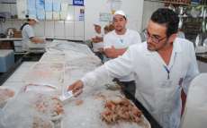 Especialista d&aacute; dicas para a compra e consumo de alimentos