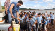 Rio Bonito - Unioeste e Tractebel Energia soltam 11 mil alevinos nos Lagos do Igua&ccedil;u