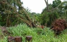 Campo Bonito - Cidade &eacute; atingida por temporal que causa v&aacute;rios estragos