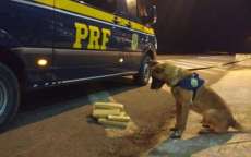 Catanduvas - PRF apreende 9kg de maconha na BR 277