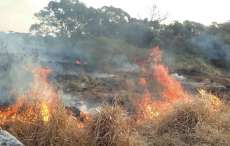 Cand&oacute;i - Inc&ecirc;ndio ambiental no bairro Santa Clara
