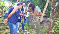 Pinh&atilde;o - Munic&iacute;pio intensifica a&ccedil;&otilde;es de combate ao mosquito Aedes Aegypti