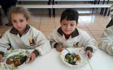 Ibema - Munic&iacute;pio d&aacute; aten&ccedil;&atilde;o especial &agrave; alimenta&ccedil;&atilde;o escolar