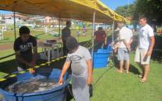 Laranjeiras - Feira do peixe vivo está sendo realizado no parque do lago