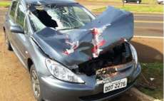 Grave acidente envolve carro e caminh&atilde;o no Paran&aacute;