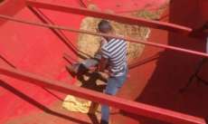 Paran&aacute; -  Rapaz morre com parte do corpo triturado por implemento agr&iacute;cola em Ubirat&atilde;