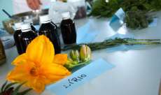 Pinh&atilde;o - Grupo de idosos do Cras participam de palestra sobre plantas medicinais