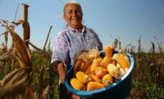 Pinh&atilde;o - 1&ordf; Feira da Exposi&ccedil;&atilde;o da Agricultura Familiar deve reunir 2 mil pessoas