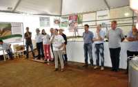 Laranjeiras - Torneio Leiteiro da Expoagro 2015 bate recordes de produção e eficiência