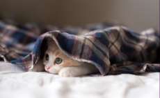 Saiba como ser&aacute; a temperatura na madrugada deste domingo em todas as cidades da Cantu. Se prepare, o frio ser&aacute; intenso