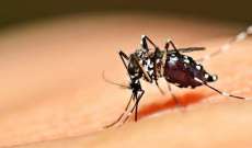 Paran&aacute; tem 4,2 mil casos confirmados de dengue
