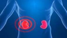 T&eacute;cnica para transplantar rim torna todos os doadores compat&iacute;veis