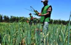 Brasil vai propor que pa&iacute;ses do G20 n&atilde;o aumentem subs&iacute;dios agr&iacute;colas
