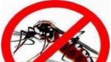 Nova Laranjeiras - Mutir&atilde;o contra dengue, zika v&iacute;rus e chikungunya