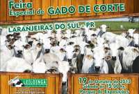 Laranjeiras - Neste sábado dia 19, tem Feira Especial do Gado de Corte no Parque de Exposições