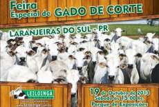 Laranjeiras - Neste sábado dia 19, tem Feira Especial do Gado de Corte no Parque de Exposições