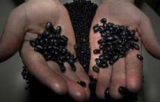 Brasil precisa diversificar consumo de feij&atilde;o