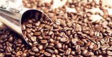 Paran&aacute; exportou 33% mais caf&eacute; em gr&atilde;os nos primeiros setes meses do ano