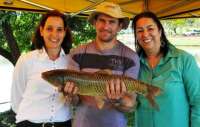 Laranjeiras - Peixelar decide interromper feira do peixe vivo durante o inverno
