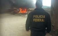 PF incinera mais de duas toneladas de drogas