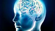 Cientistas brasileiros relacionam novo dist&uacute;rbio cerebral em adultos ao zika v&iacute;rus