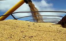 Safra recorde no Paran&aacute; vai mexer no mercado de trabalho