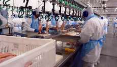 Paran&aacute; j&aacute; &eacute; o Estado que mais produz carnes do Pa&iacute;s