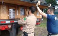 Laranjeiras - PRF apreende 350 mil carteiras de cigarro em carreta na BR 277
