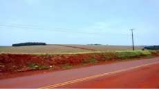 Disco voador &eacute; visto sobrevoando a rodovia PR 180, entre Nova Aurora e Cafel&acirc;ndia