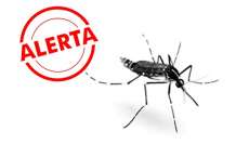 Paran&aacute; confirma s&eacute;timo caso de febre chikungunya e autoridades ficam em alerta