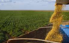 Estimativa de produ&ccedil;&atilde;o cresce e safra recorde de 2017 ser&aacute; 25,1% maior