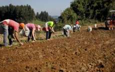 Nota fiscal eletr&ocirc;nica vai facilitar a vida do produtor rural